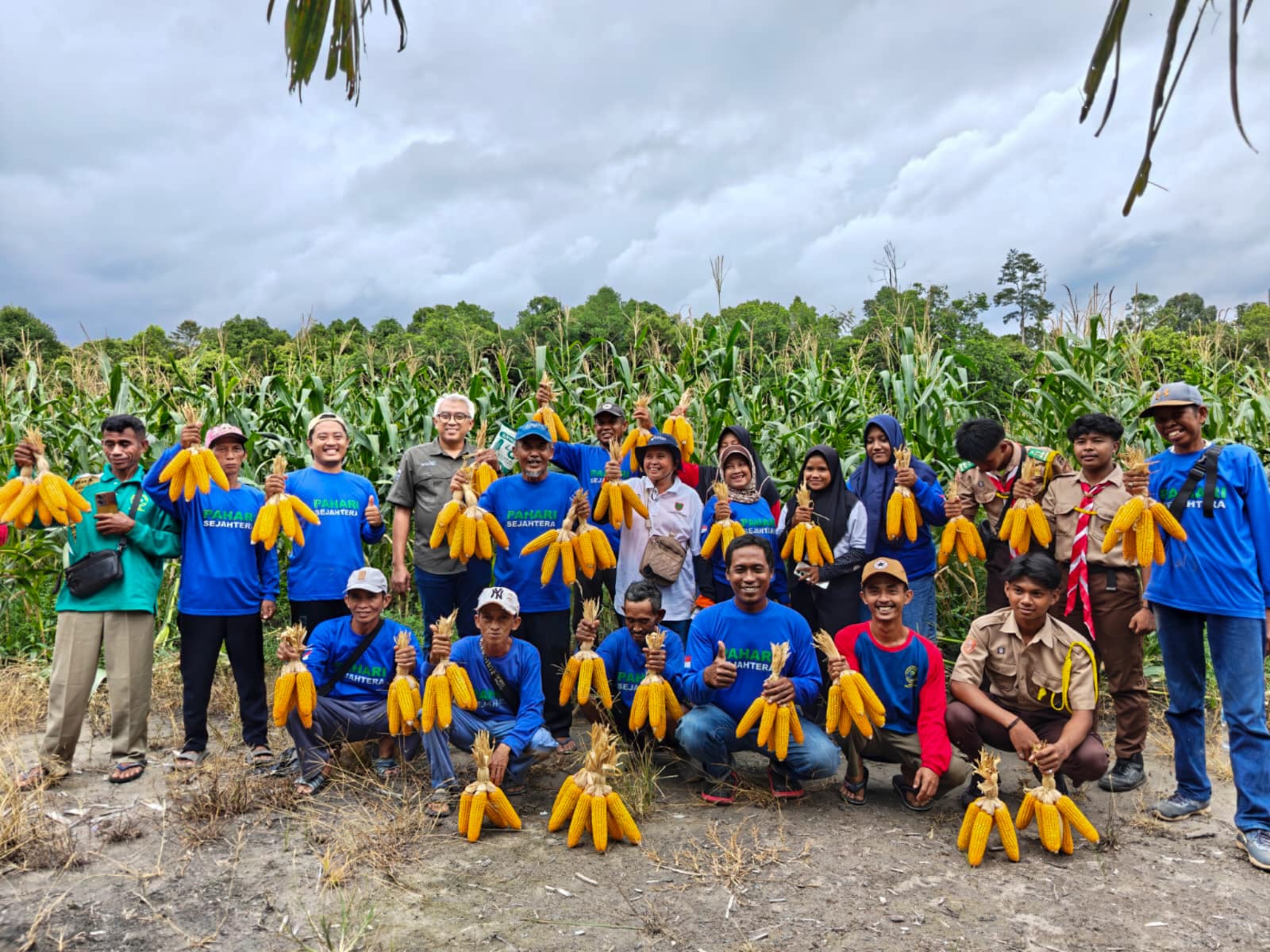 PT KKP Wilmar Group bekerja sama Poktan Pahari Sejahtera di Desa Tangar budi daya jagung.HUMAS