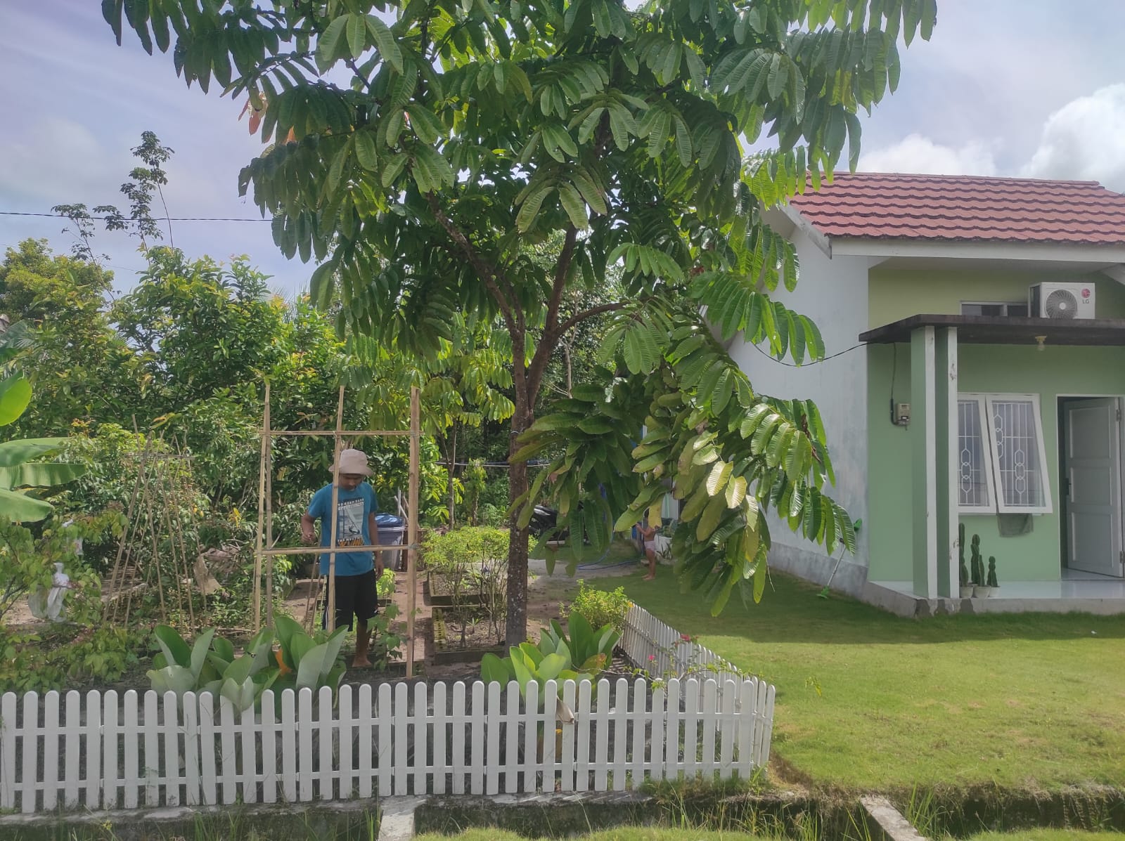 Aktivitas Tholib di  kebun keluarga miliknya di Komplek Kampung Rahayu Woro, Jumat (13/2/2026). ANISA/KALTENG POS