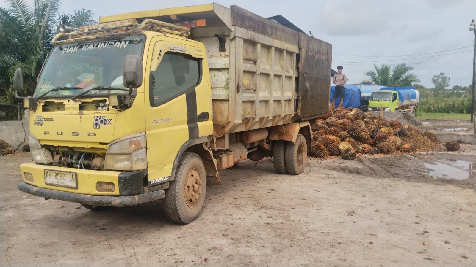 Barang bukti truk muatan sawit yang diduga hasil curian.HUMAS