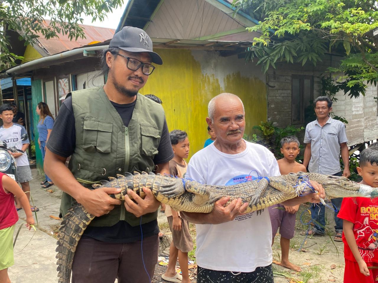Anak buaya tertangkap jala warga. MIFTAH/KALTENGPOS.JAWAPOS.COM