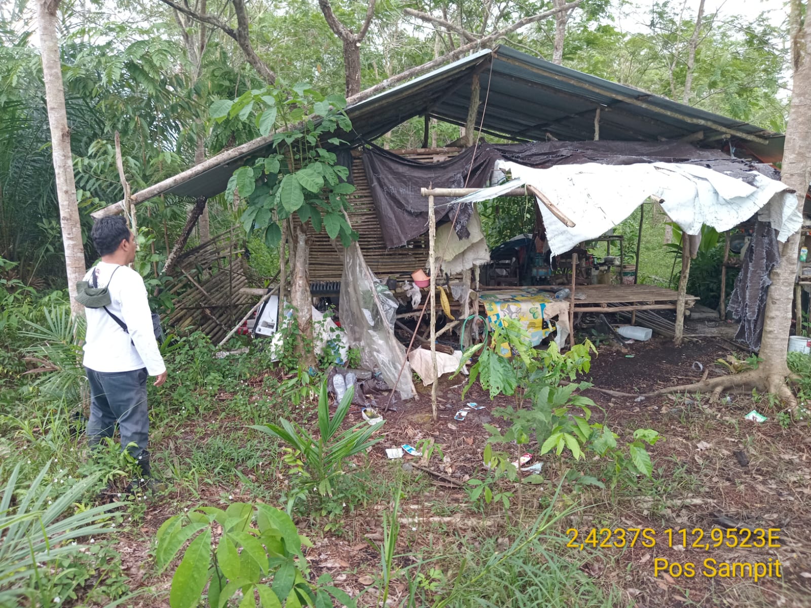Area yang ditemukan Beruang Madu. BKSDA