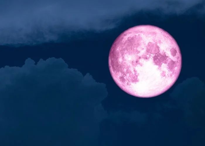 Fenomena Pink Moon