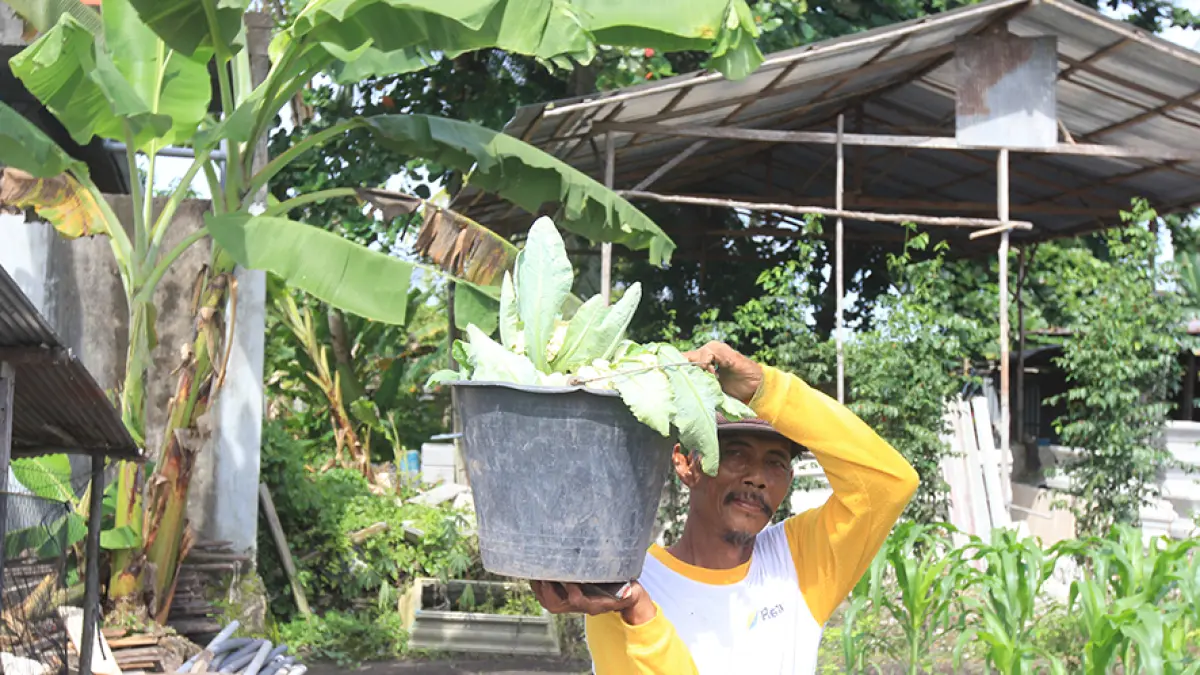 Petani menghadapi tantangan kemarau panjang.DOK AGUS PRAMONO/KALTENGPO.JAWAPOS.COM