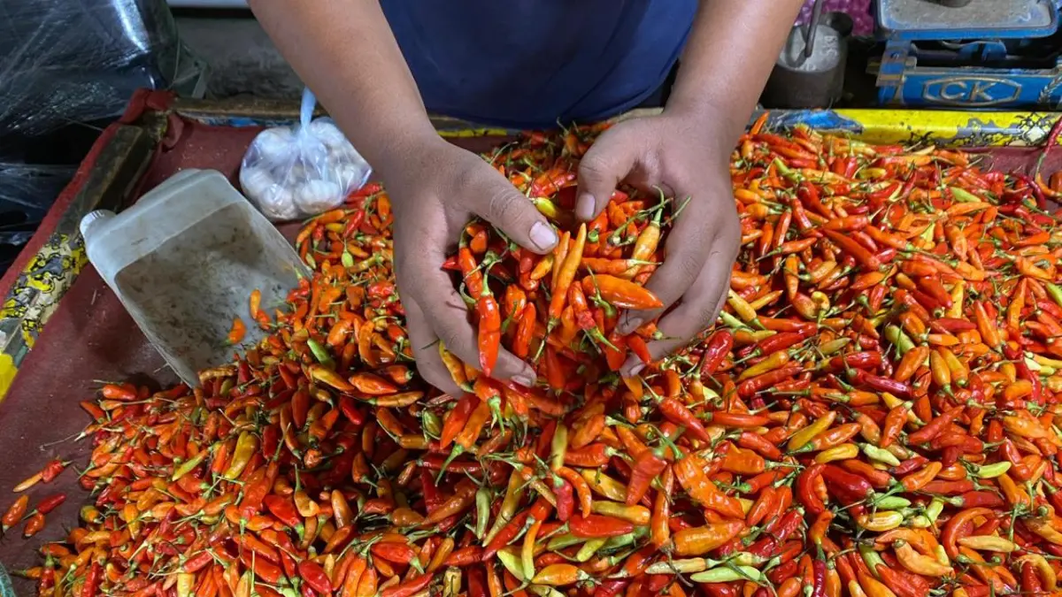 Harga cabai di Sampit masih mahal. MIFTAH/KALTENGPOS.JAWAPOS.COM