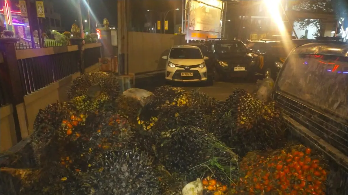 Barang bukti sawit curian dari PT MAP.HUMAS