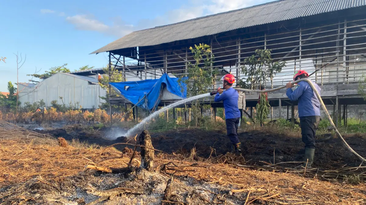 Pemadaman lahan terbakar di Sampit.Dok BPBD 