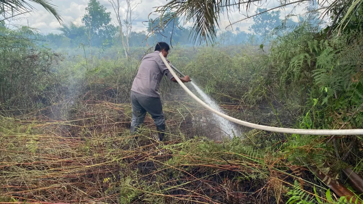 Kebakaran di Kotim.Dok Kalteng Pos