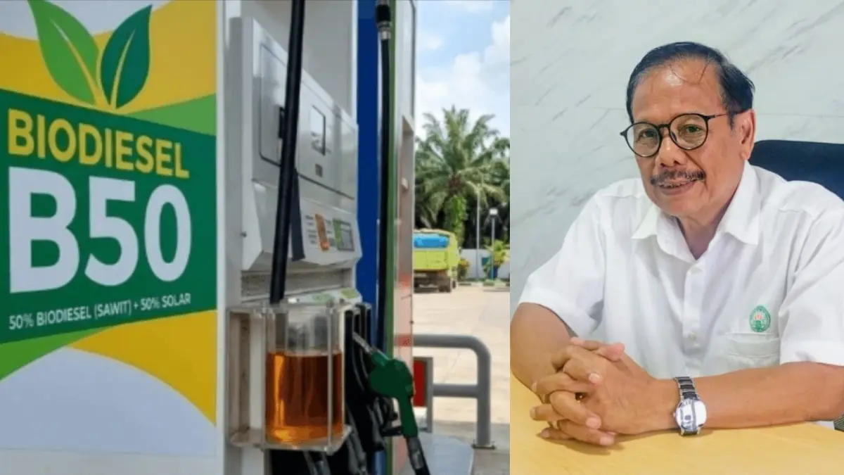 Pengamat perekonomian dan perkebunan, Dr. Ir. Rawing Rambang, MP soal rencana B50.