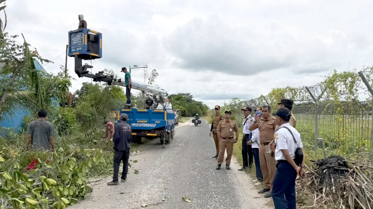 Pemkab Kotim merapikan pohon-pohon tinggi di sekitar jalur pacu Bandara H Asan.Miftah/kaltengpos.jawapos.com