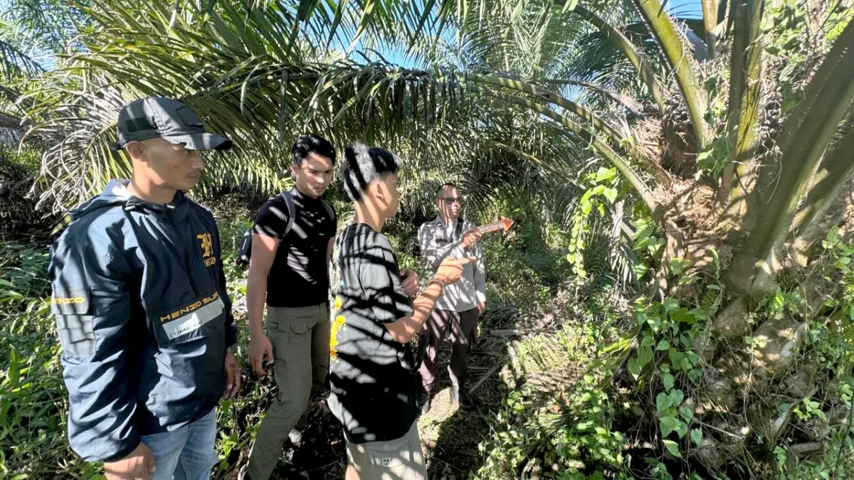 Polisi olah TKP pencurian sawit.Humas