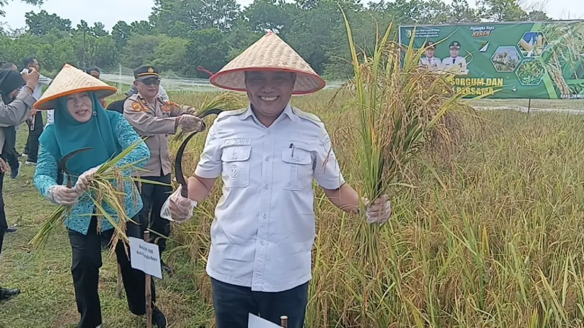 Wakil Wali Kota Palangka Raya, Achmad Zaini menunjukkan hasil panen padi gogoh. Ilham/Kalteng Pos