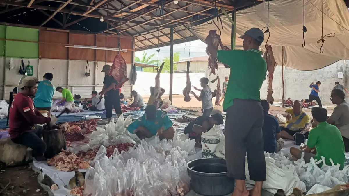 DPD LDII Kapuas kurban tahun ini mencapai 15 ekor sapi dan 4 ekor kambing.(LDII)