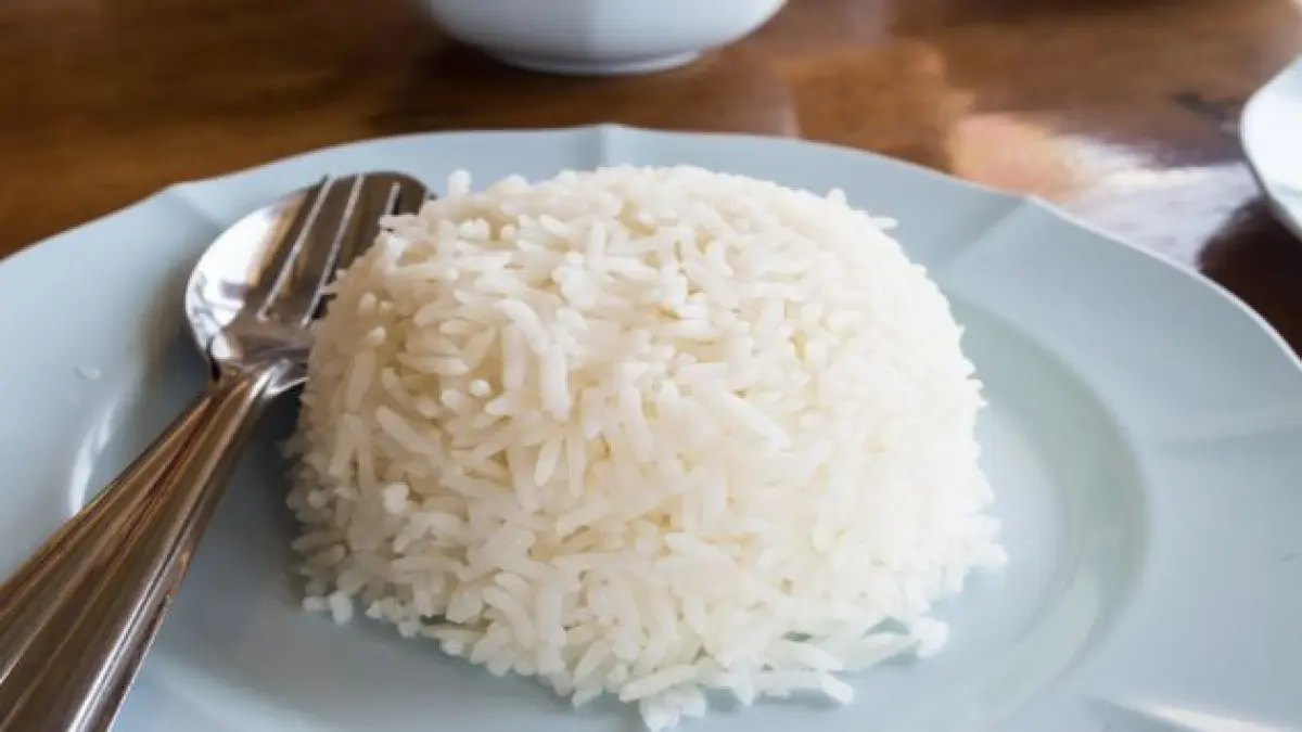 Ilustrasi nasi putih.