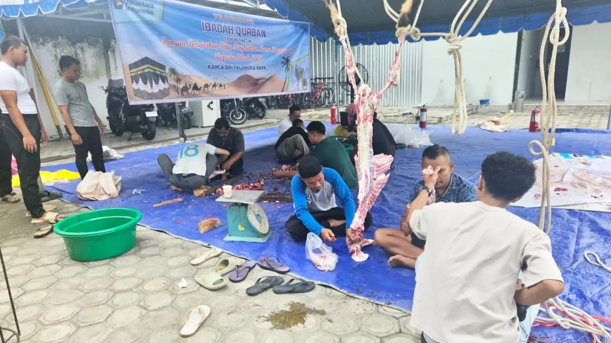 Para karyawan BRI, saat pemotongan daging hewan kurban sebelum dibagikan ke masyarakat, Rabu (27/5/2026).