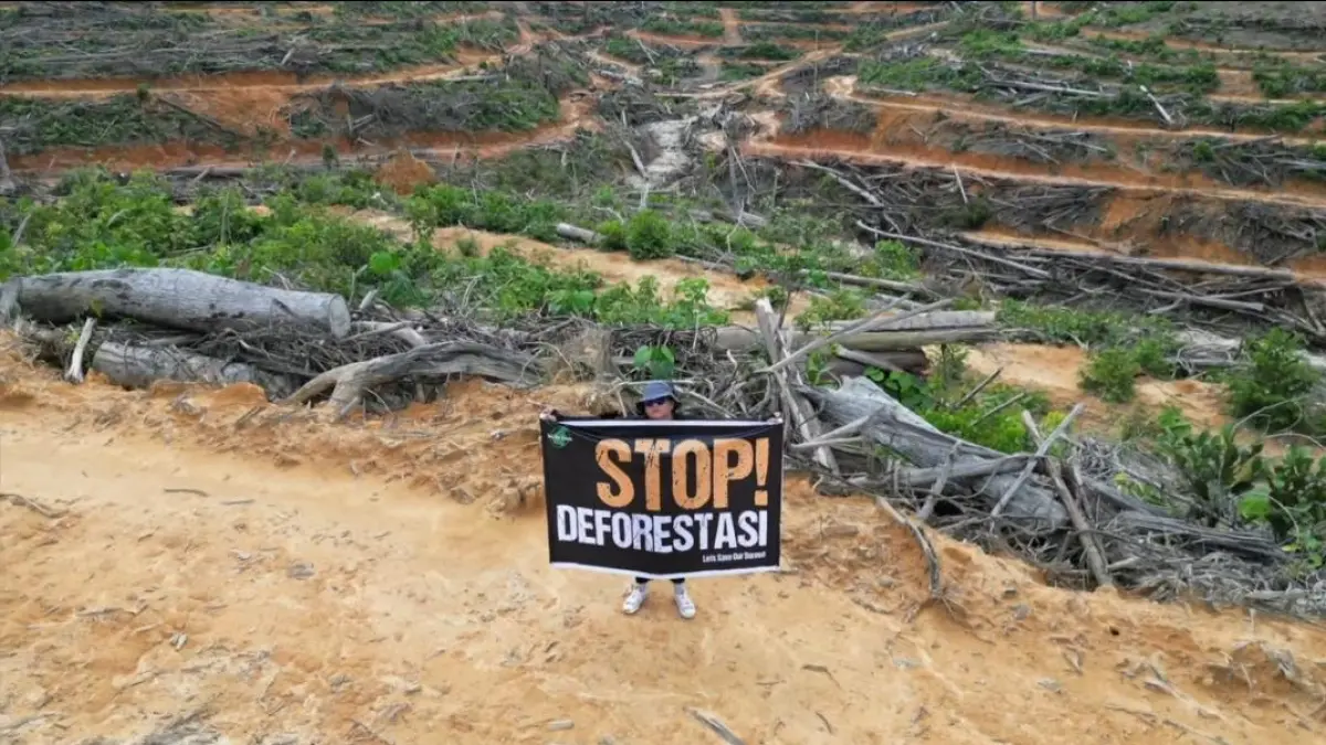 Kondisi hutan yang berubah menjadi sawit.(Facebook/Saveourborneo)
