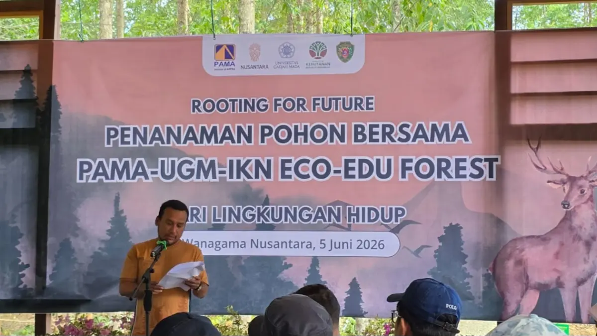 Sambutan