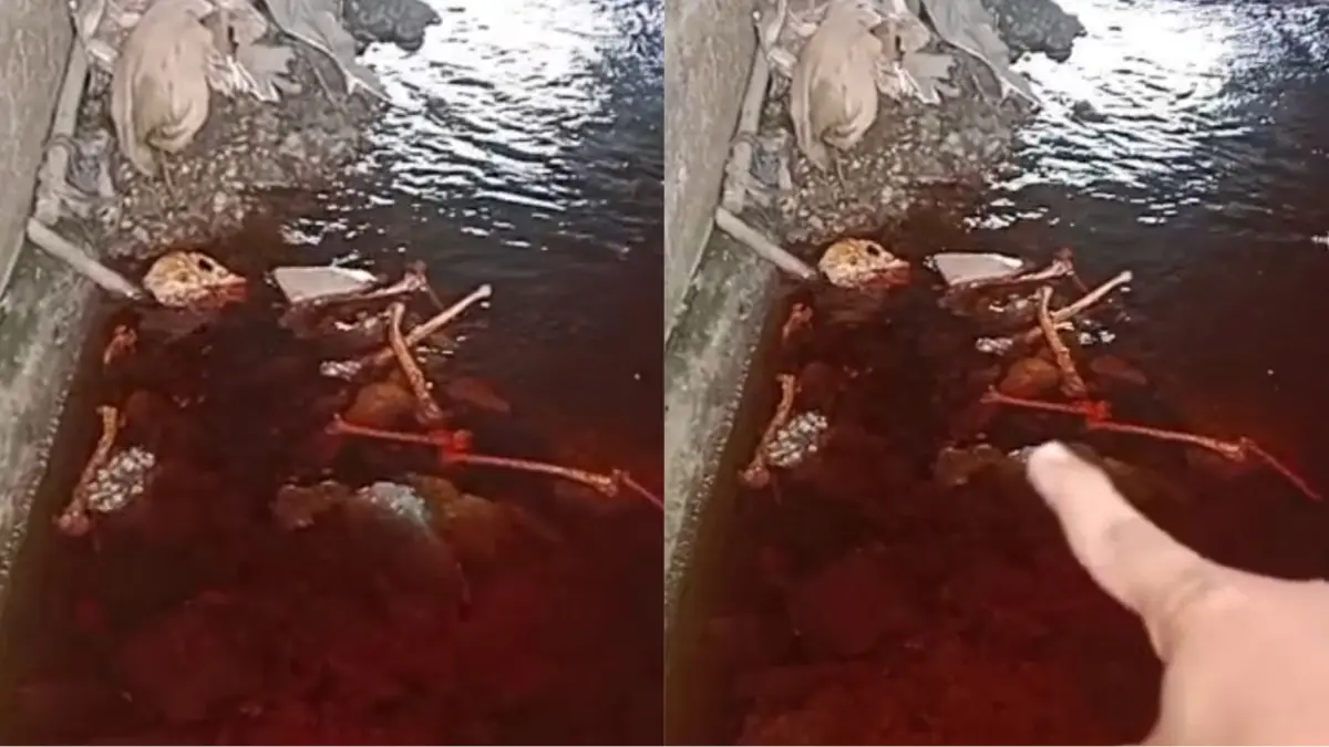 Tulang belulang di bawah jembatan. Screenshoot