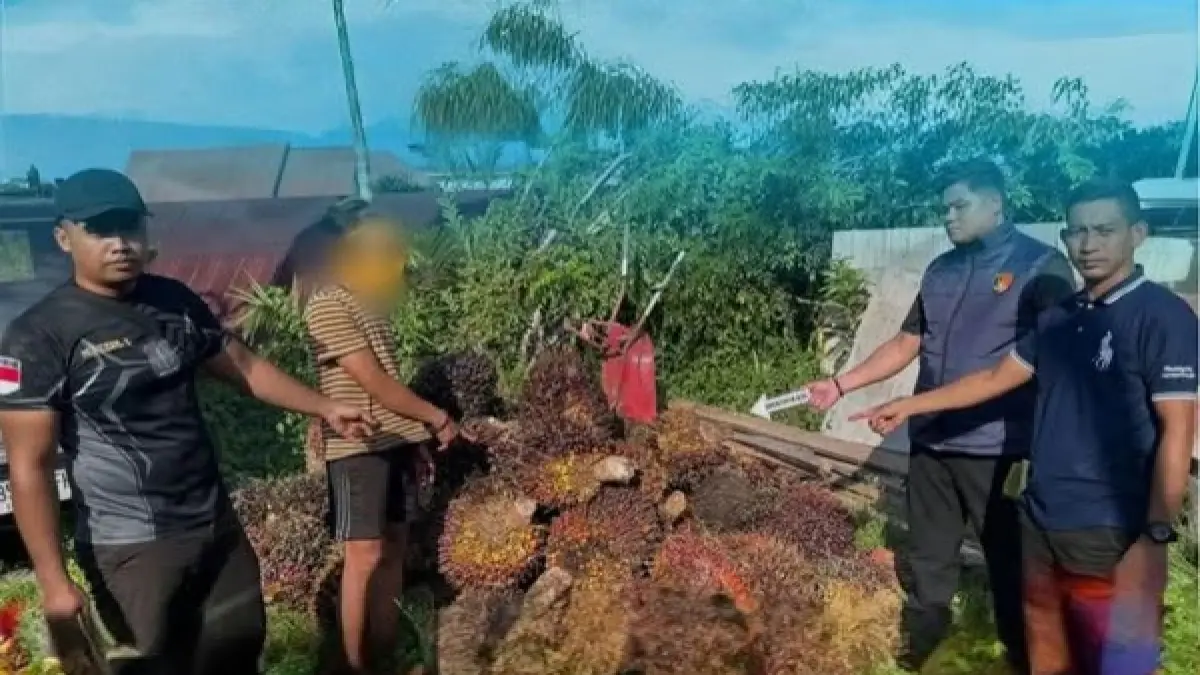 Pelaku pencuri sawit diamankan petugas keamanan. Humas
