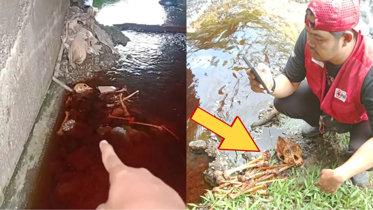Temuan tulang belulang di Sampit. Warga