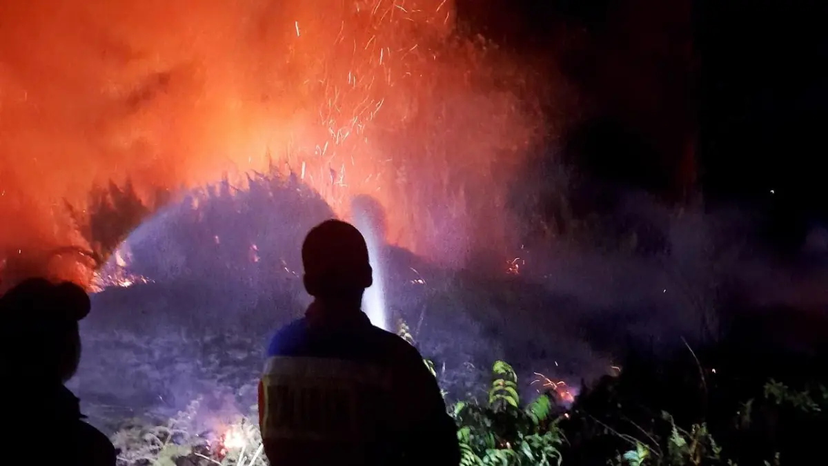Petugas melakukan pemadaman lahan terbakar.(Damkar)