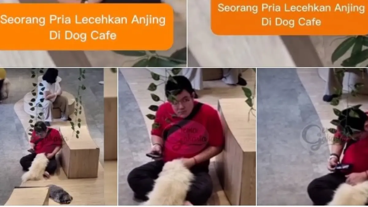 Seorang pria diduga lecehkan hewan 