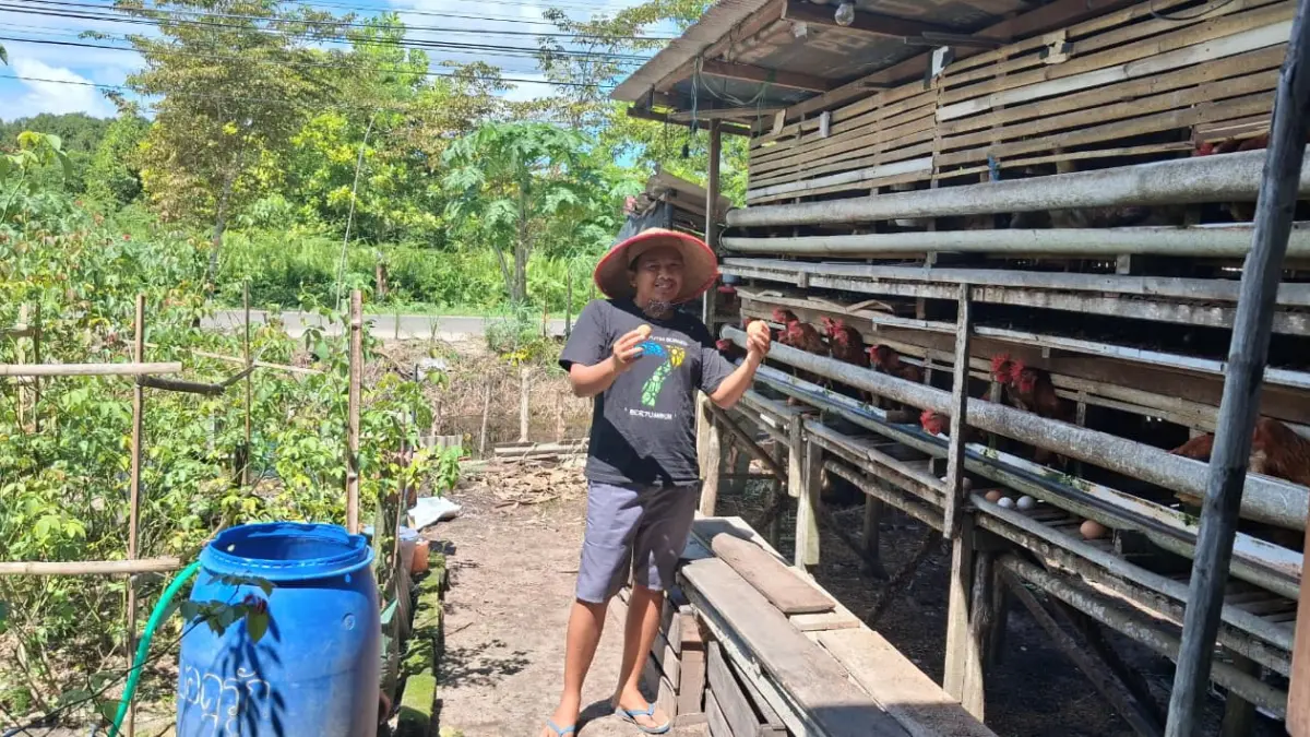 Peternak ayam mandiri di Palangka Raya.(Agus Pramono/Kaltengpos.jawapos.com)