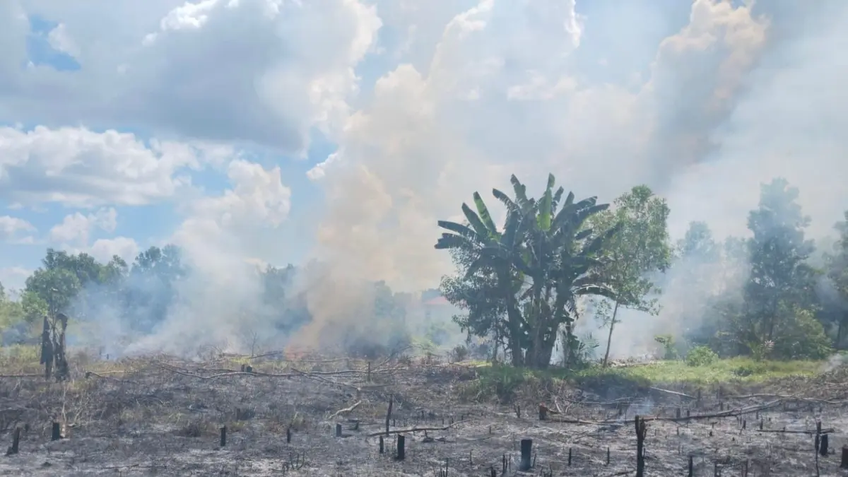 Kebakaran lahan di Sampit. (BPBD)