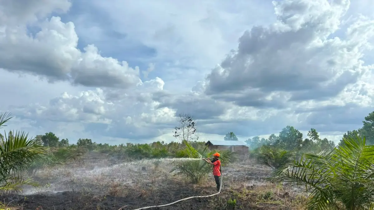 Kebakaran lahan di Sampit.(BPBD)