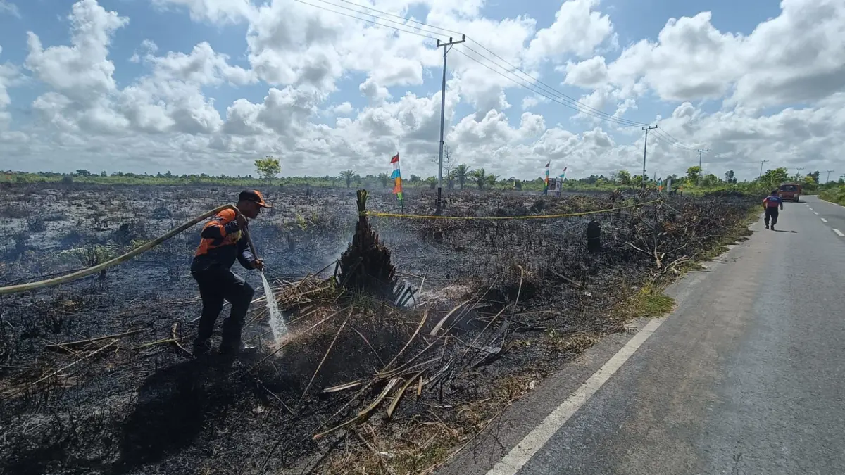 Lahan diduga dibakar untuk bangun perumahan.(BPBD)