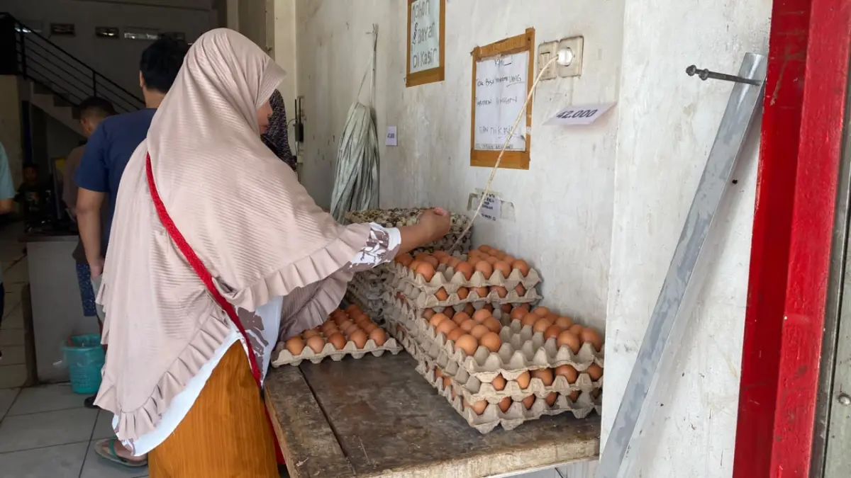 Ketersediaan telur ayam ras di Kotim masih mengandalkan pasokan dari luar.(Miftah/kaltengpos.jawapos.com)