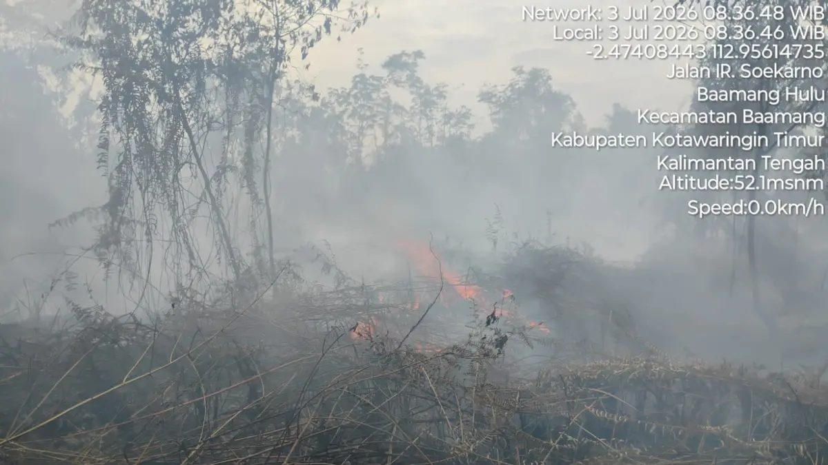 Kebakaran lahan di dekat Bandara H Asan.(BPBD)