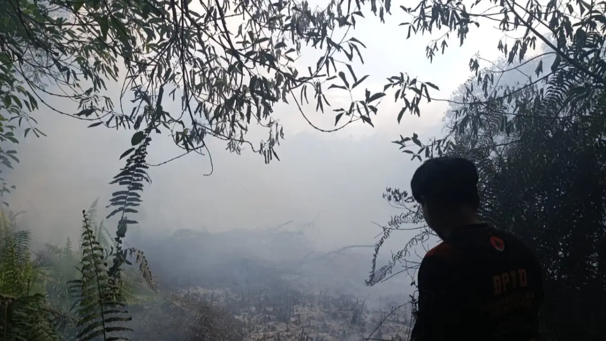 Kebakaran lahan di Sampit.(BPBD)