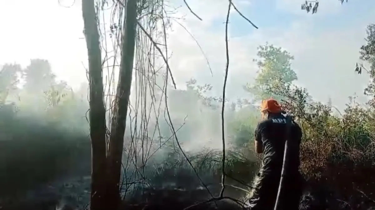 Pemadaman karhutla di Kotim.(BPBD)