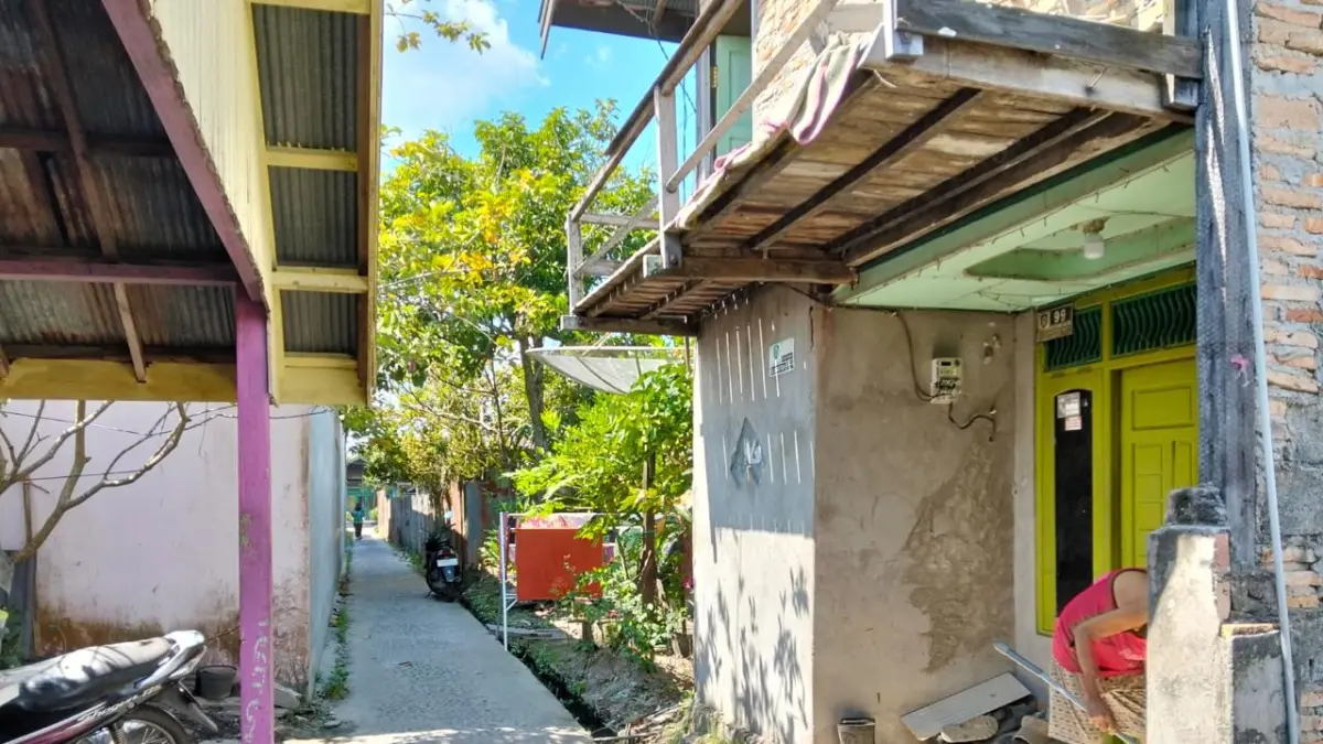 Ulat bulu banyak muncul di pemukiman warga Baamang. (Miftah/kaltengpos.jawapos.com)