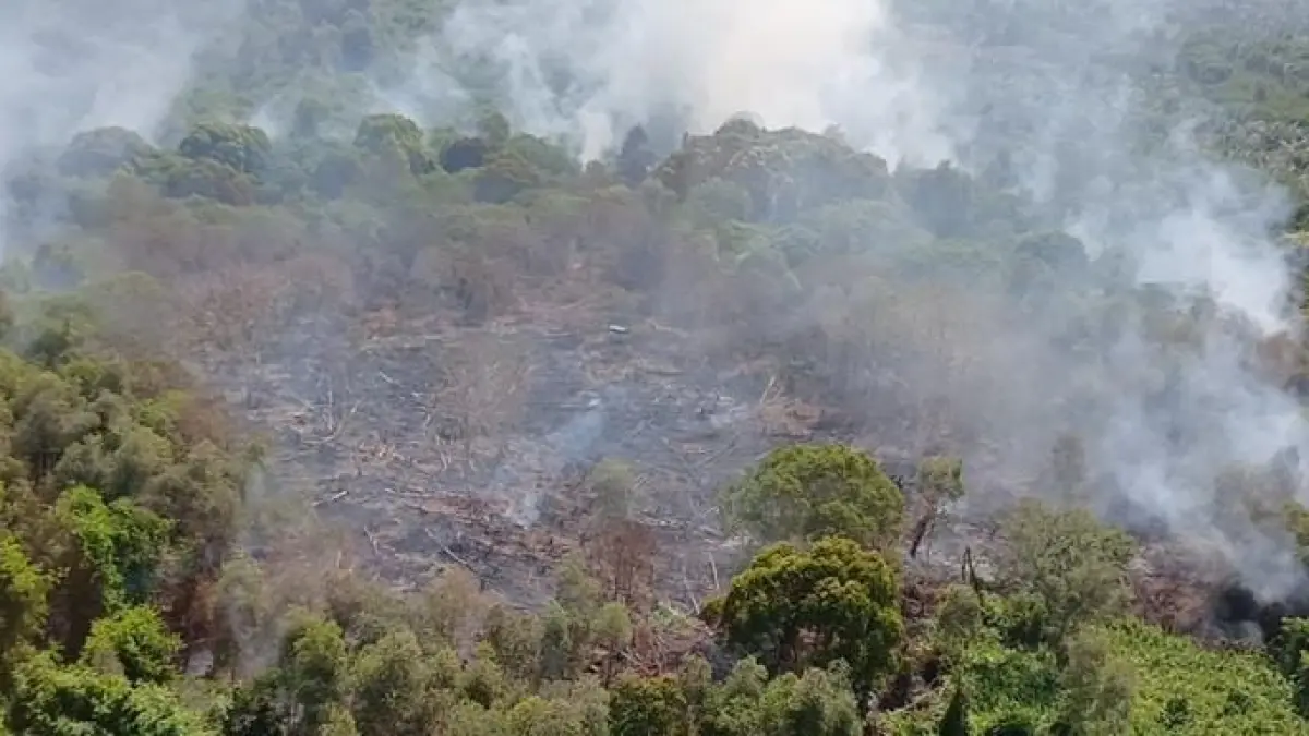 Kebakaran lahan di Sampit.(BPBD)