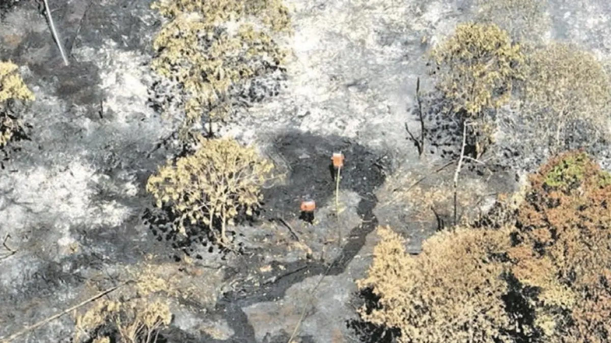 Kebakaran lahan di Tumbang Nusa, Kabupaten Pulang Pisau, Kalteng.(Humas)