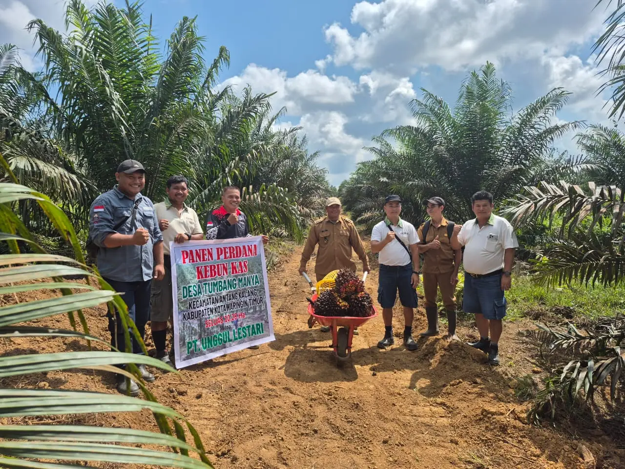 Panen sawit perdana 