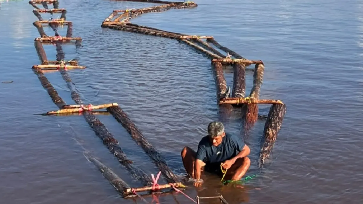 Tim Gabungan mengamankan hampir seribu batang kayu bulat (log) hasil pembalakan liar atau illegal logging di kawasan sungai Kotim.