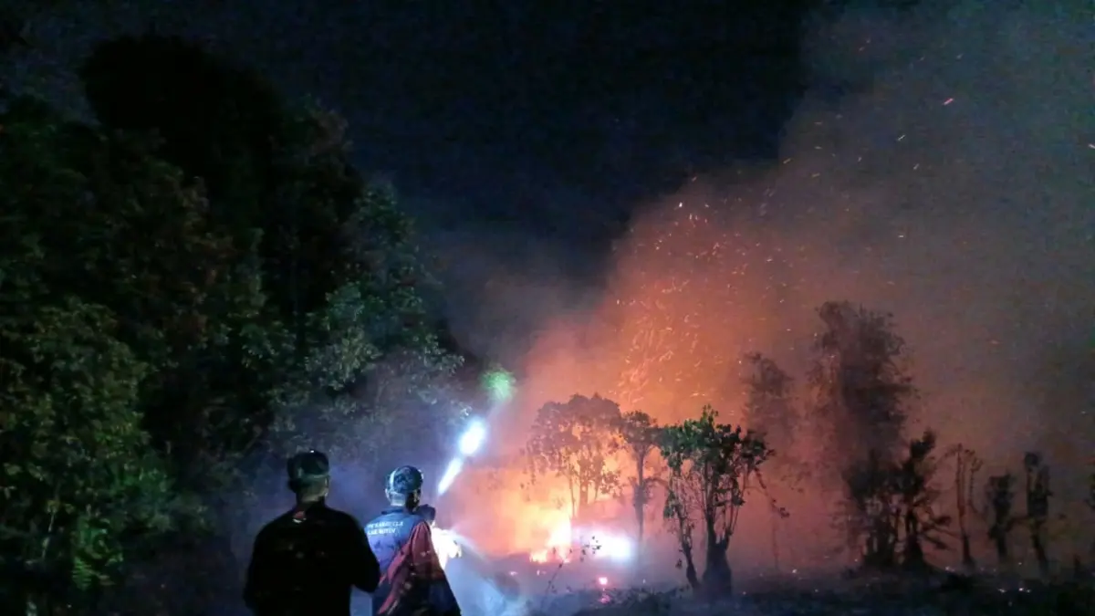 Karhutla di Kotim.(BPBD)