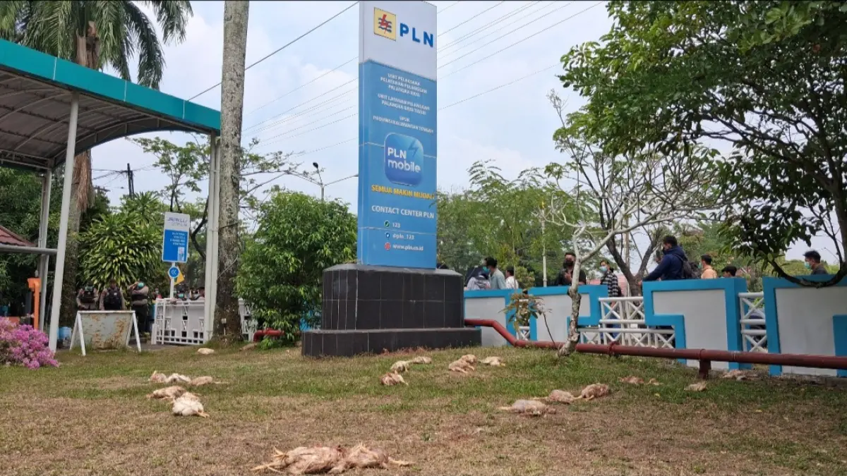 Kantor PLN Palangka Raya jadi sasaran warga menyampaikan aspirasi.(Agus Pramono/kaltengpos.jawapos.com)