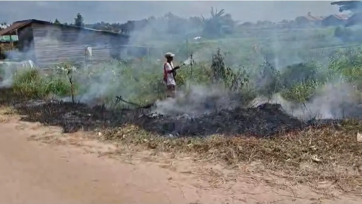Karhutla di Kotim.(BPBD)
