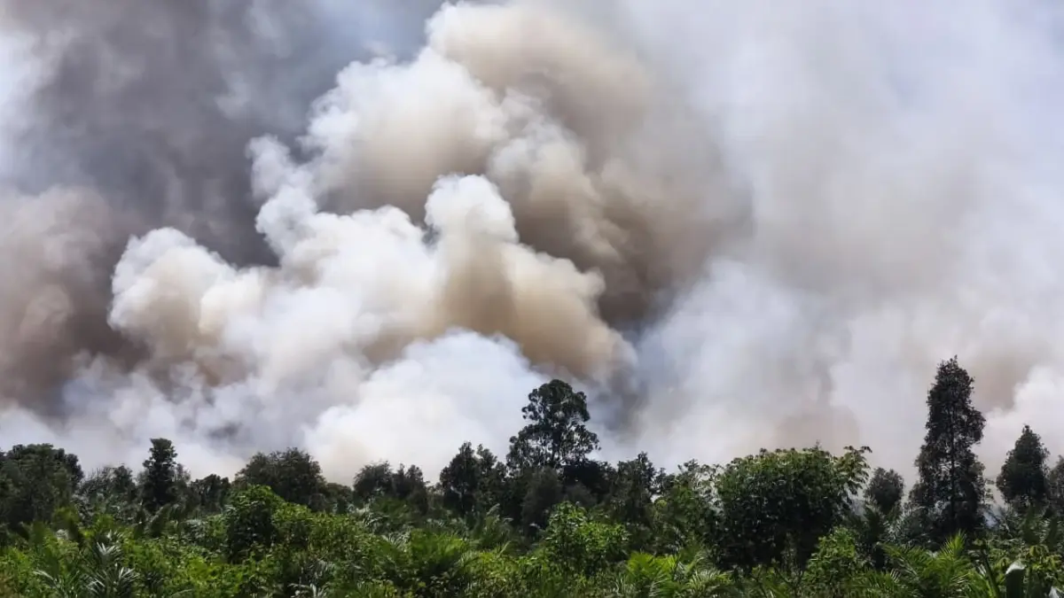 Karhutla di Sampit semakin meluas.(BPBD)