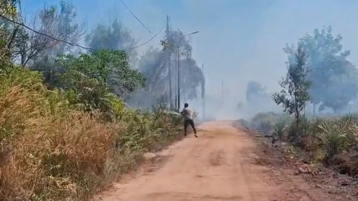 Karhutla mendekati perumahan.(BPBD)