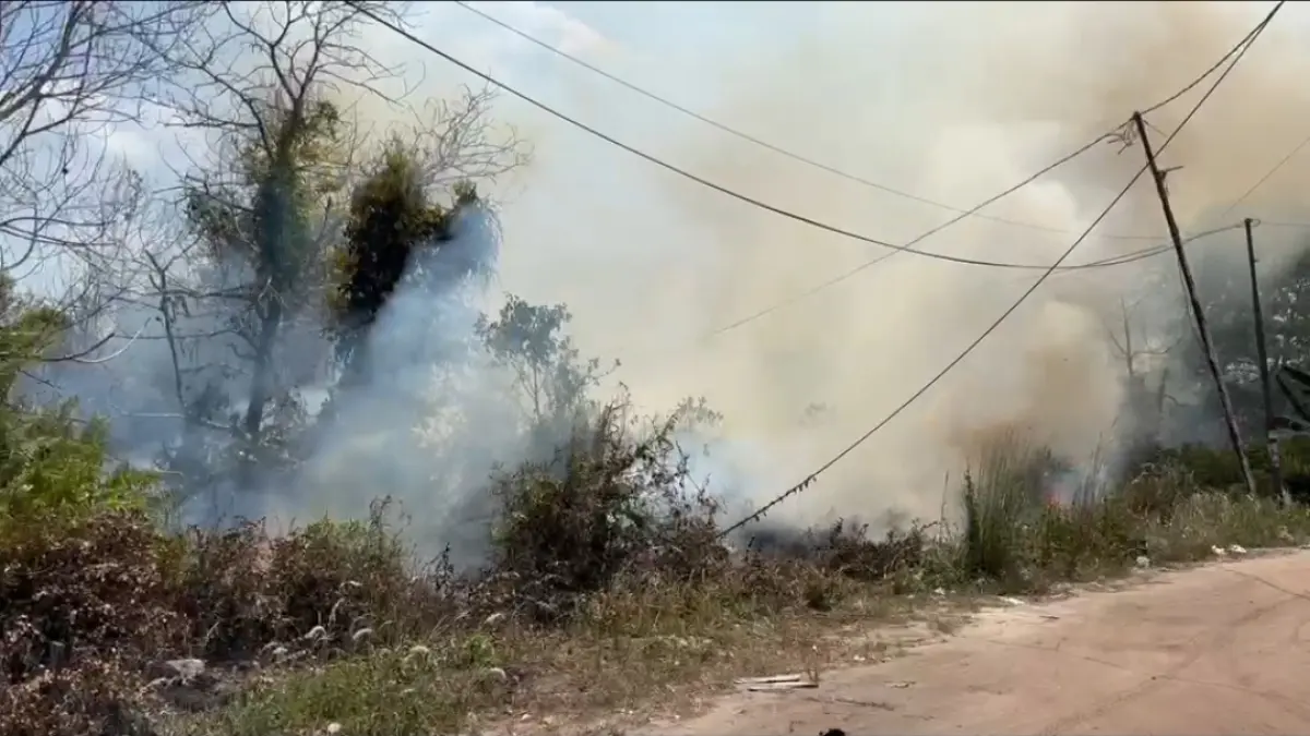 Kebakaran lahan di kawasan Perumahan Graha Pramuka.(Screenshoot)