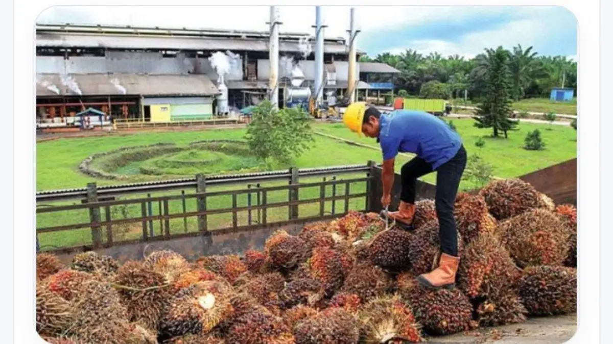 Pabrik kelapa sawit.(Jawa Pos)