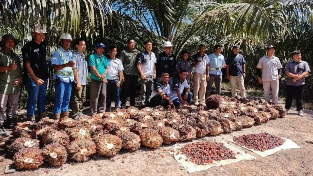 Panen perdana di SBHE, Region 4 Bumitama.(Humas)
