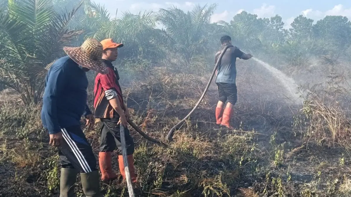 Petugas kewalahan memadamkan api di Sampit.(BPBD)