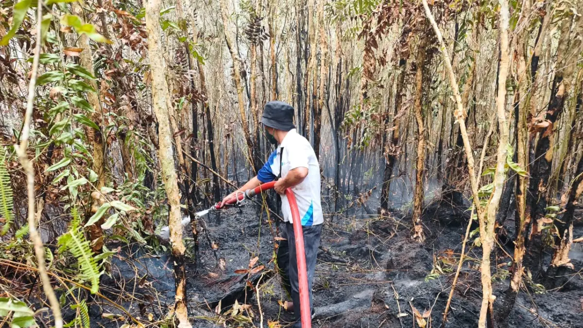 Tim Tanggap Darurat UPR terus melakukan pemadaman terhadap kebakaran hutan dan lahan yang terjadi di hutan kampus. FOTO HUMAS UPR.