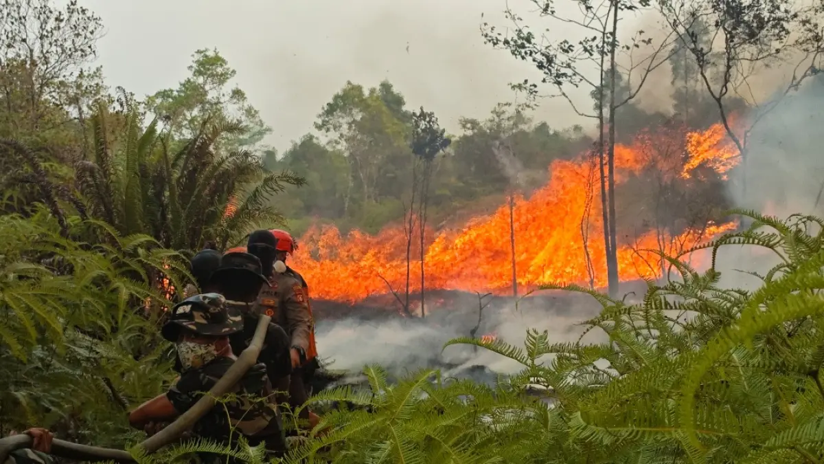 Petugas Gabungan berjibaku memadamkan api yang membakar kawasan di Desa Pamangka.(Denar/Kalteng Pos)