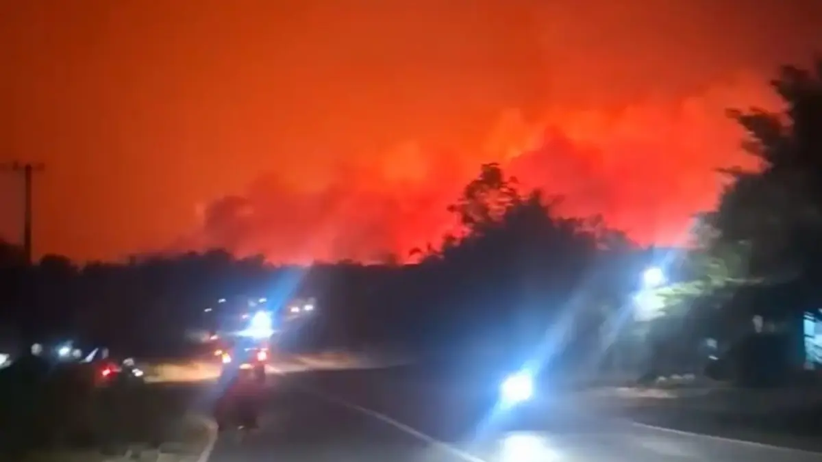 Karhutla di Desa Pelantaran Kotim tadi malam.(Tangkapan layar)